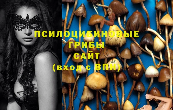дживик Алексеевка