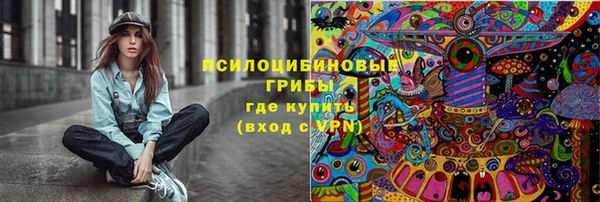 2c-b Кукмор