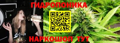 тгк Аша