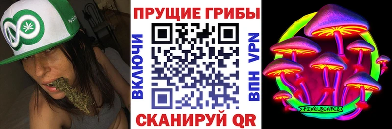 цена наркотик  Белебей  Галлюциногенные грибы Psilocybe 
