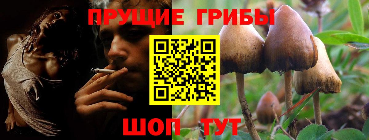 Белебей  Галлюциногенные грибы GOLDEN TEACHER  Вход с VPN  Галлюциногенные грибы Magic Shrooms 